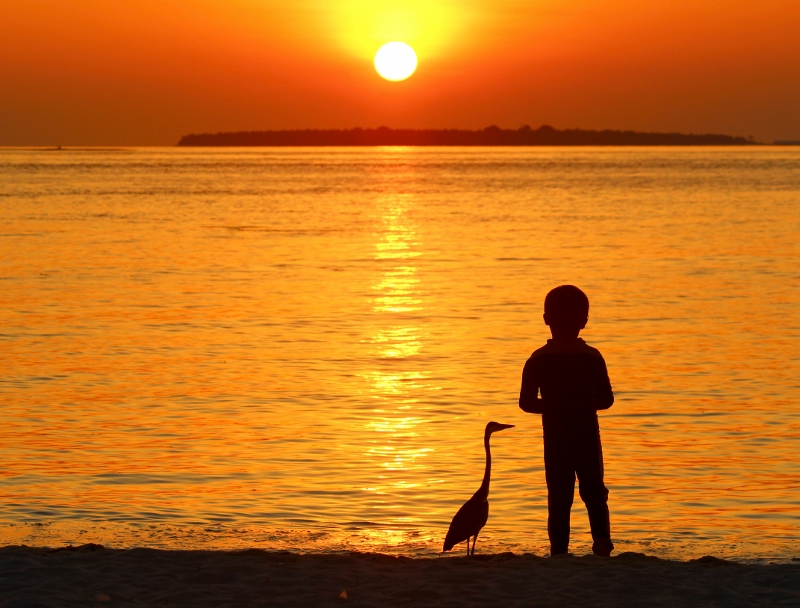 IMG_2575 (800x608).jpg